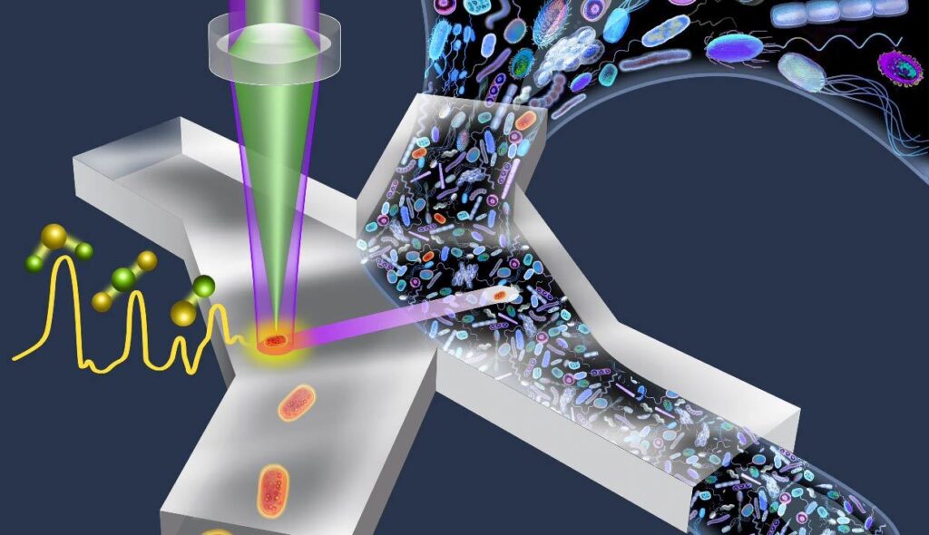 Microfluidic Cell Sorting Market