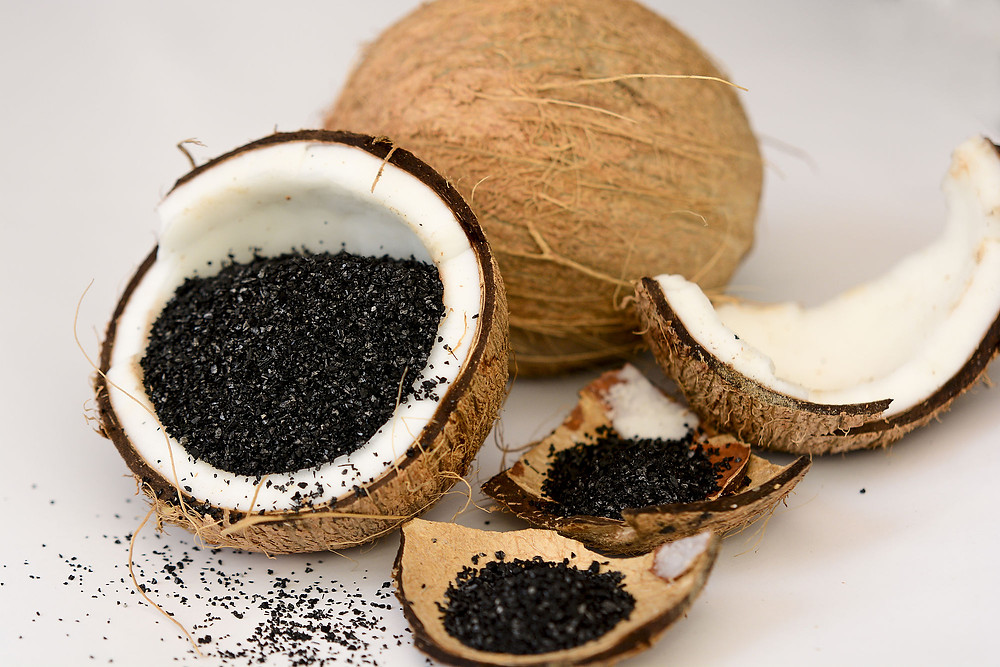 Activated Coconut Charcoal Capsule Market Report Includes Dynamics, Products, and Application