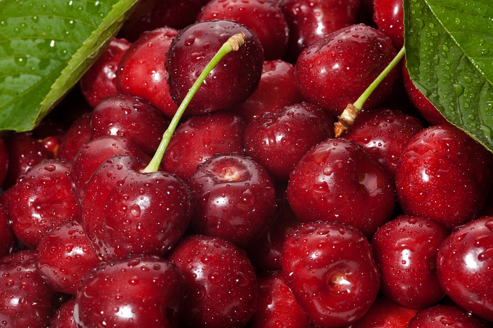 Cherries from Chile Market, Growth, Revenue, Future Development & Forecast
