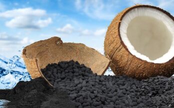 Edible Coconut Carbon Market