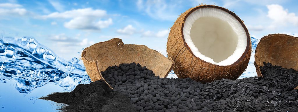 Edible Coconut Carbon Market Insights by Growth, Emerging Trends and Forecast by 2032