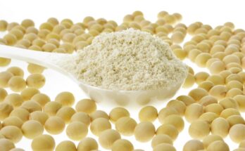 Soy Protein Hydrolysate Market