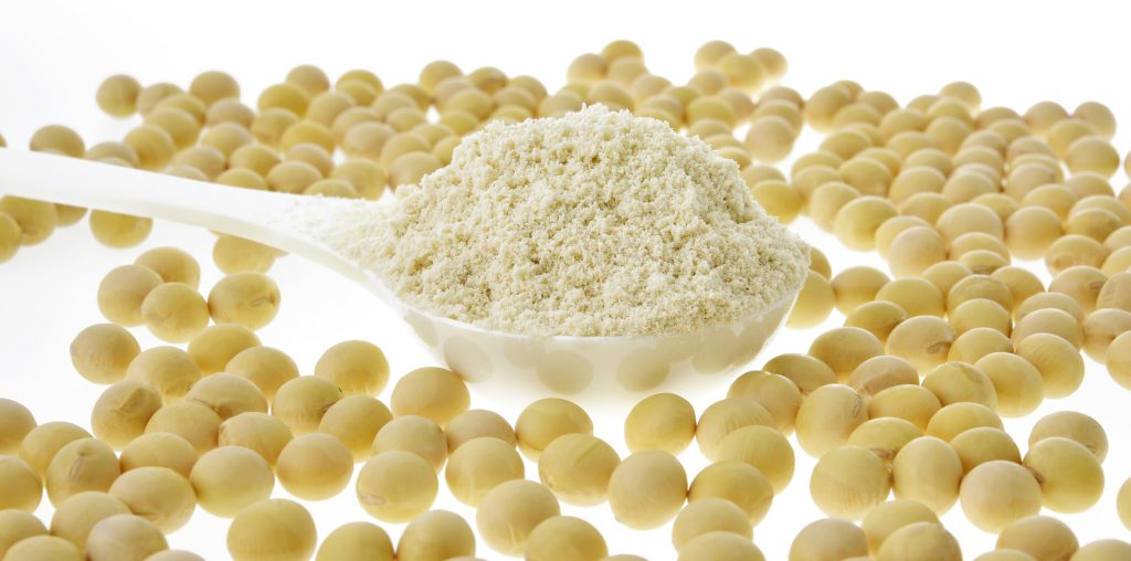 Soy Protein Hydrolysate Market
