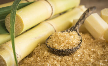 Sugarcane Market