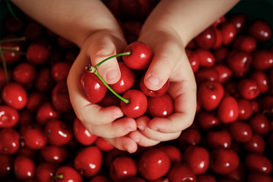 Tasmanian Cherries Market Business Strategies and Huge Demand by 2032