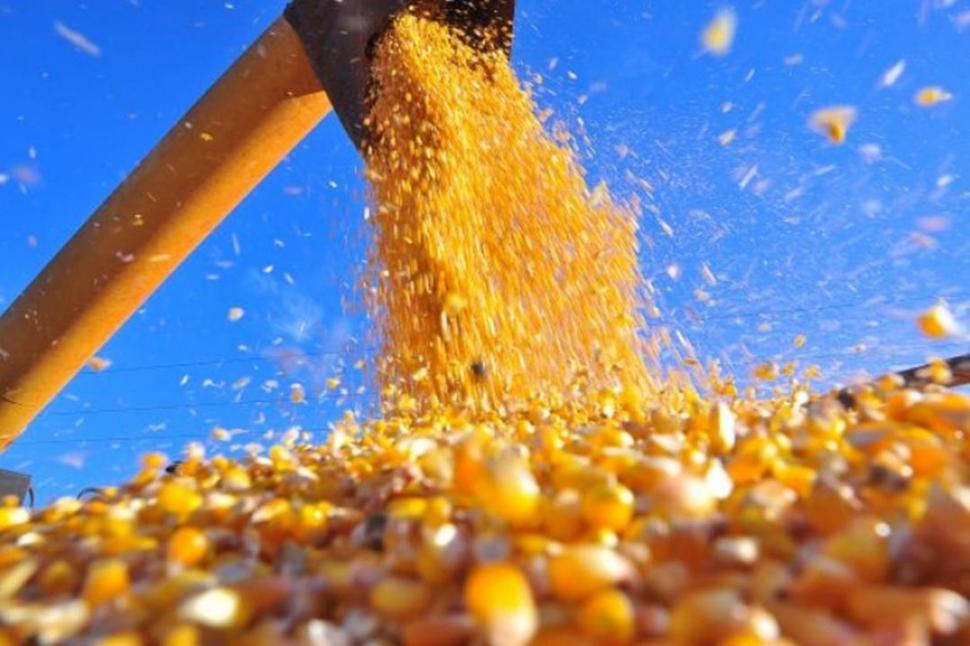 Corn Wet Milling Market Trends and Dynamic Demand by Forecast 2023 to 2032