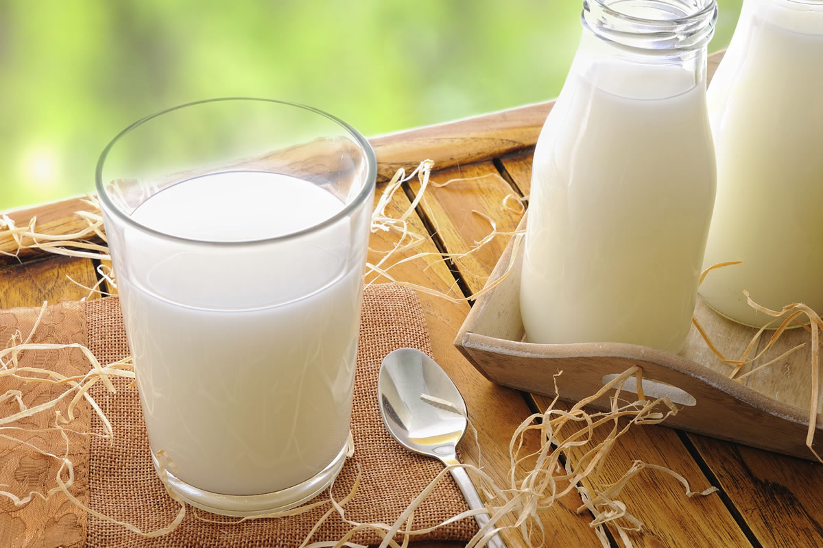 Dairy Free Plant-based Milks Market
