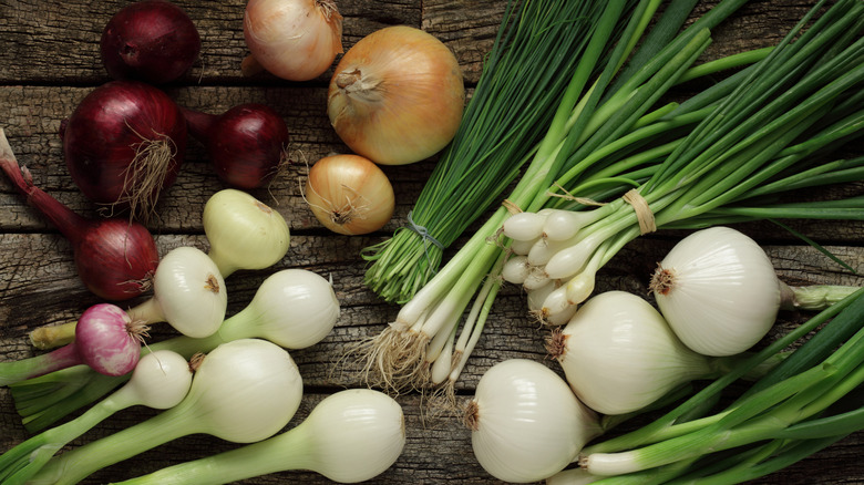 Fresh Onions and Shallots Market