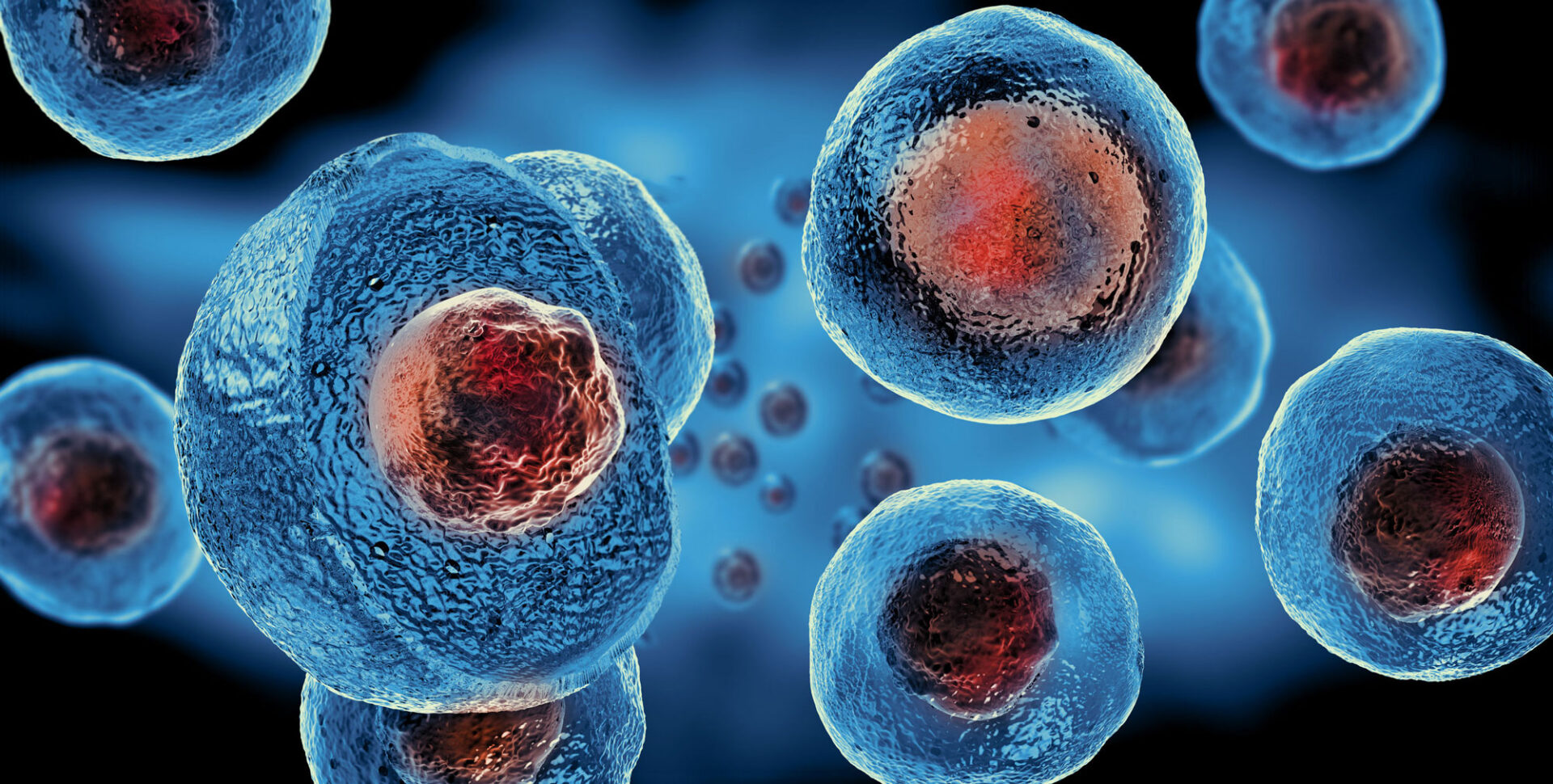 Human Embryonic Stem Cell Assay Market