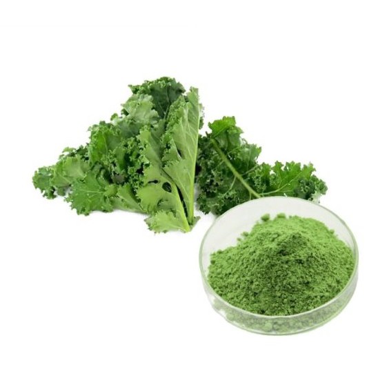Kale Powder Market Analysis, Trends, Key Players and Forecast 2017 to 2032