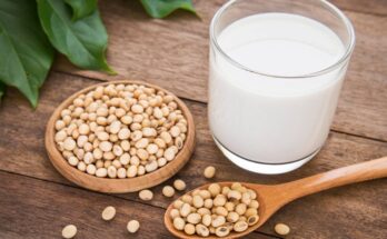 Milk Protein Ingredient Market