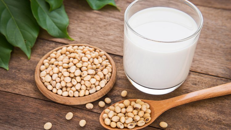 Milk Protein Ingredient Market Analysis, Key Players, Share Dynamic Demand and Consumption by 2017 to 2032