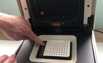 Real-Time PCR Detection Systems Market