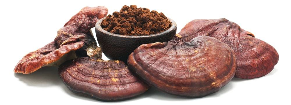 Red Reishi Mushroom Extract Powder Market Growth Factors and Dynamic Demand by 2032