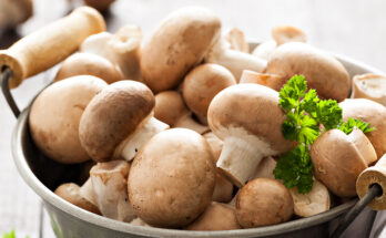 Retail Pack Shiitake Mushroom Market