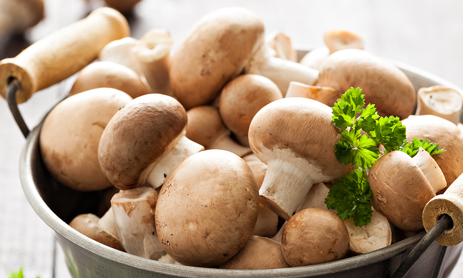 Retail Pack Shiitake Mushroom Market Growth and Global Industry Status by 2032