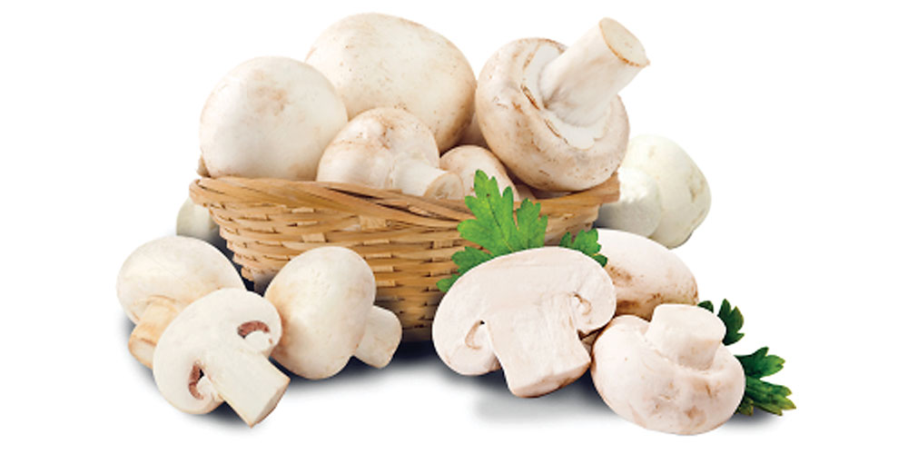 Retail Pack Whole Fresh White Mushroom Market