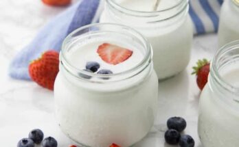 Yogurt And Probiotic Drink Market