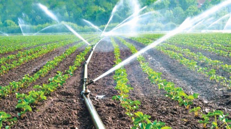 Agricultural High Pressure Sprayer Market Report Includes Dynamics, Products, and Application 2017 – 2032