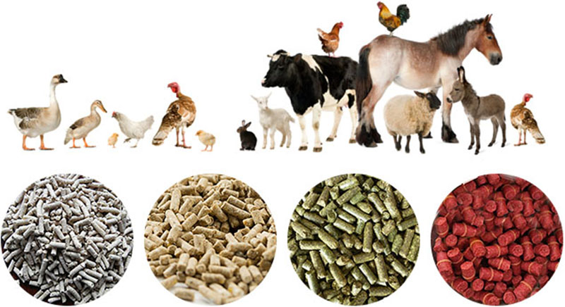 Animal-based Compound Feed Market Demand Key Growth Opportunities, Development and Forecasts to 2017-2032