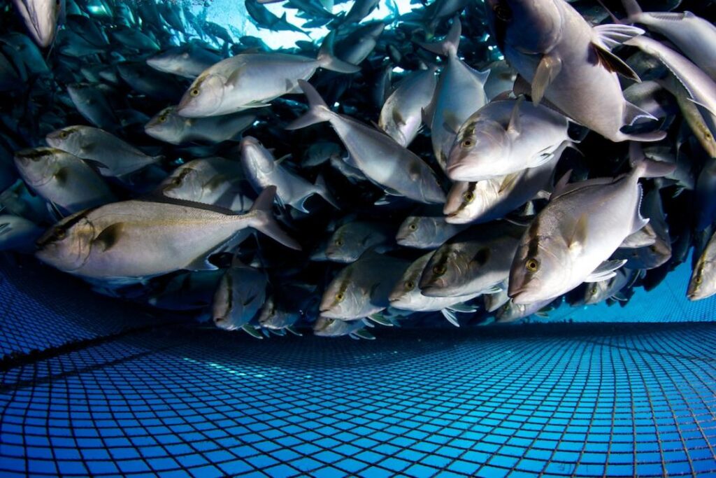 Aquaculture Products Market