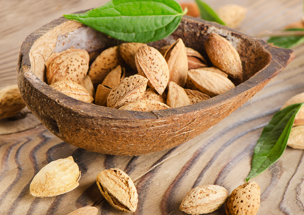 Badaam (Almond With Shell) Snack Market Trends, Growth Drivers, and Future Outlook