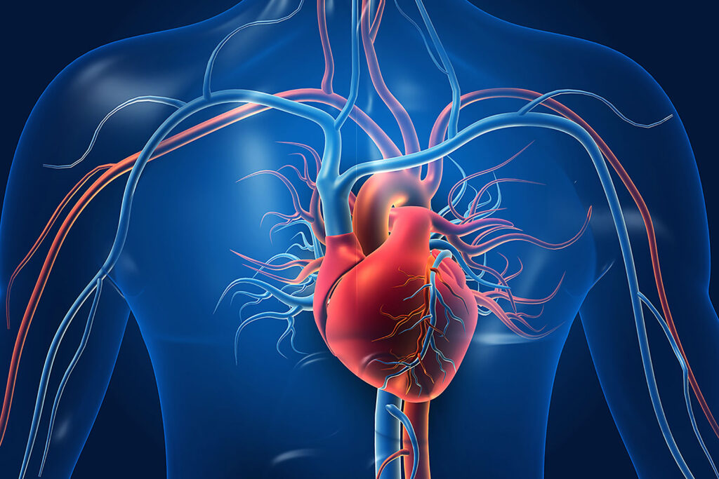 Coronary Heart Disease Occluder Market