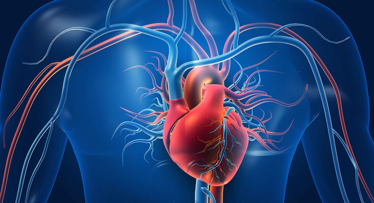 Coronary Heart Disease Occluder Market