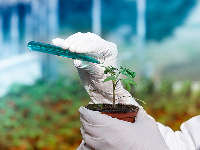 Crop Biological Protection Market Overview Analysis, Trends, Share, Size, Type & Future Forecast to 2032