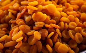 Dried Apricots Market