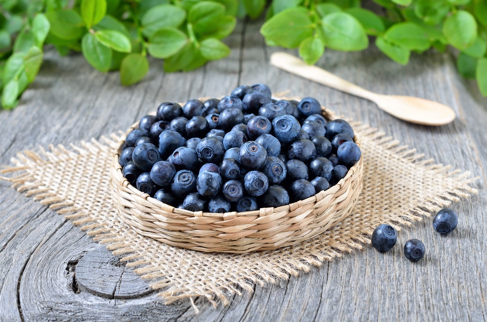 Dried Blueberries Market Key Players, Growth Drivers, and Competitive Landscape