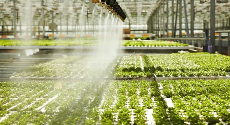 Greenhouse Spray Humidification Systems Market