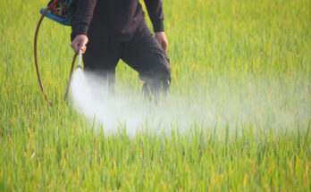 Herbicides Safener Market