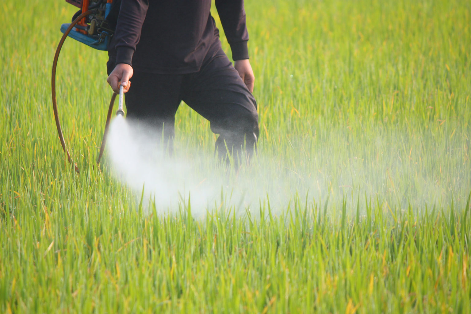 Herbicides Safener Market Growth Trends Analysis and Dynamic Demand, Forecast 2017 to 2032