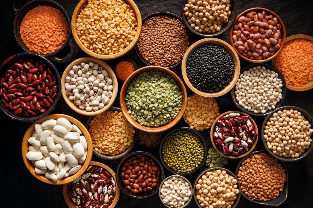 Oilseed and Grain Seed Market