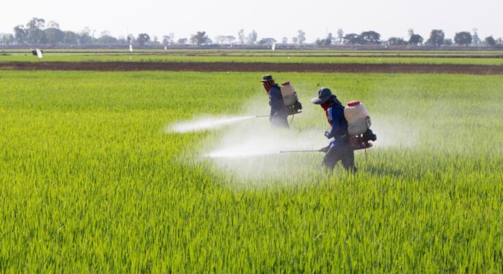 Organophosphorus Pesticides Market