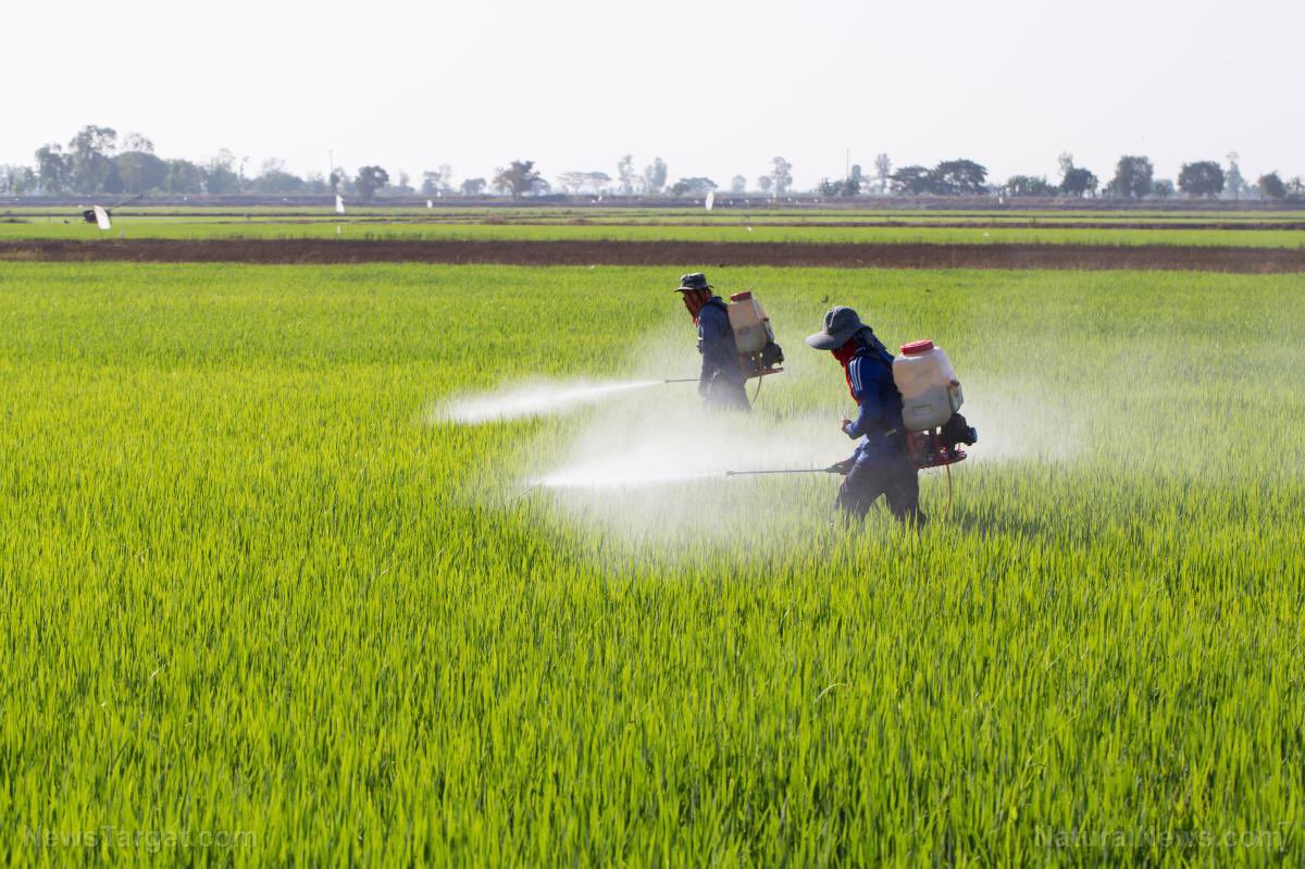 A Comprehensive Analysis of the Organophosphorus Pesticides Market: Growth Drivers, Restraints, and Technological Advancements