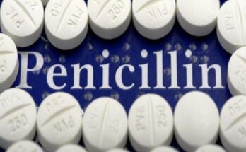 Penicillin Market