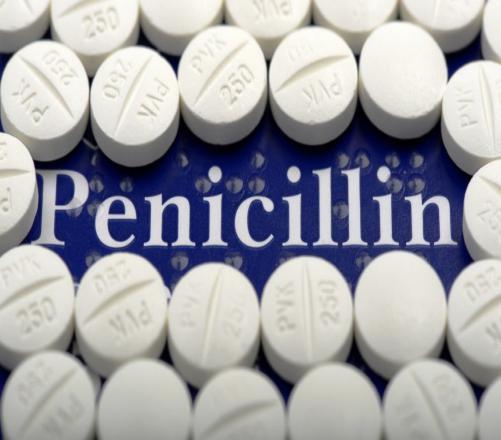 Penicillin Market