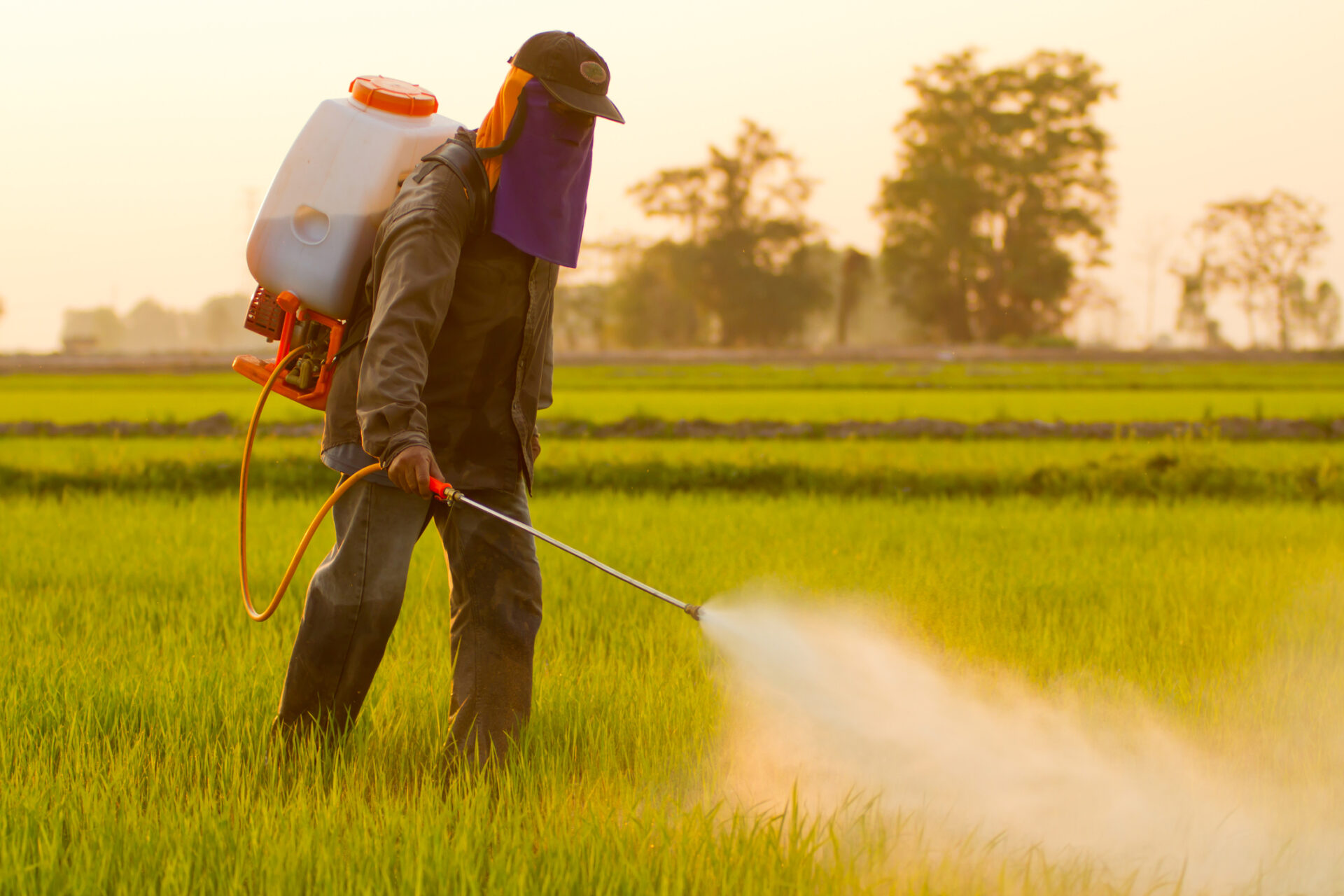 Pesticide Formulation Market