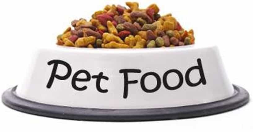 Pet Foods Market Dynamics, Distribution Channels, and Product Differentiation