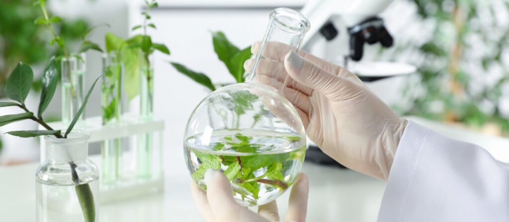 Plant Derived Cleaning Ingredient Market