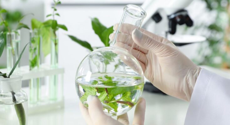 Plant Derived Cleaning Ingredient Market