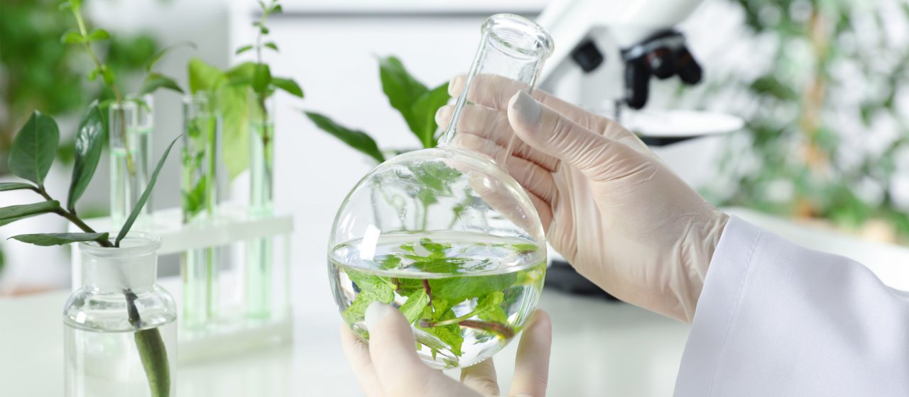 Flourishing Market for Plant-Derived Cleaning Ingredients: A Comprehensive Analysis of Growth, Trends, and Opportunities in the Cleaning Industry