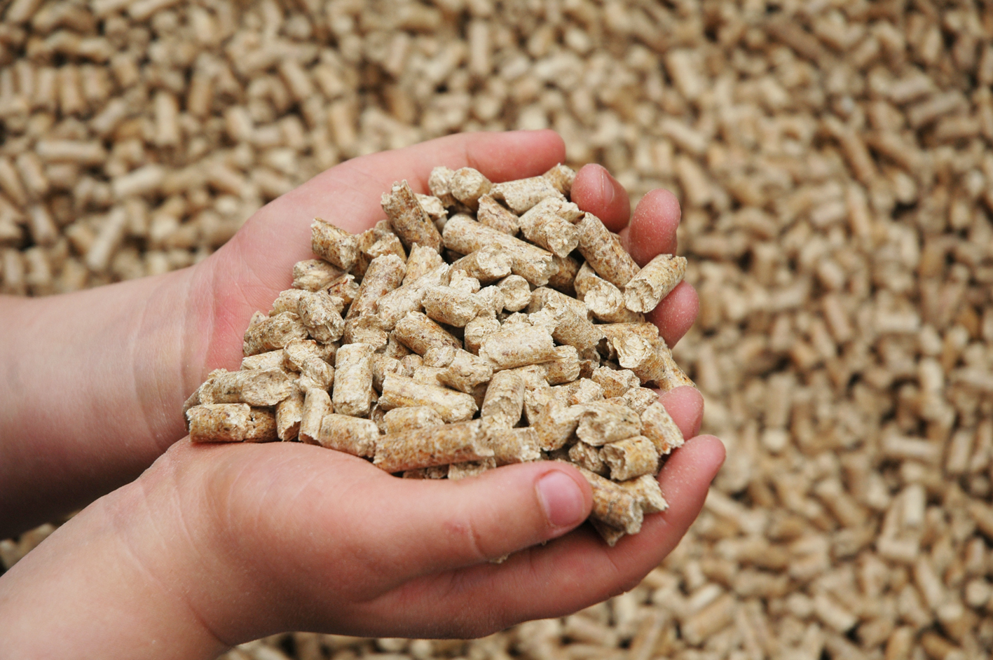 Plant-based Compound Feed Market Overview Analysis, Trends, & Future Forecast to 2032