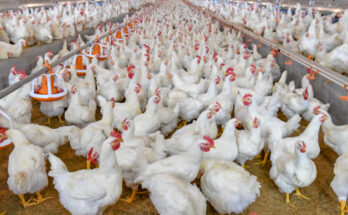 Poultry Farm Management Software Market