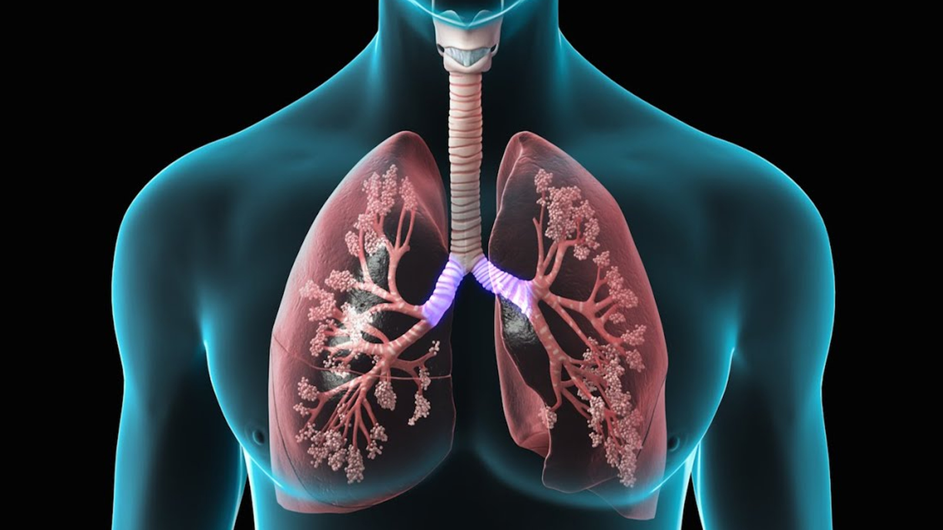 Pulmonary & Respiratory Drug Delivery Market