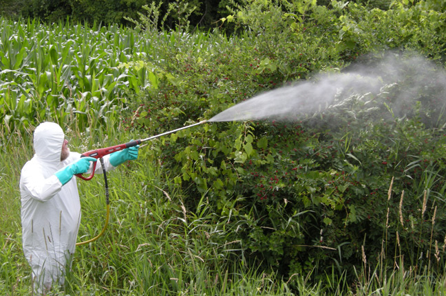 Selective Herbicides Safener Market Analysis, Key Trends, Growth Opportunities, Challenges and Key Players by 2032