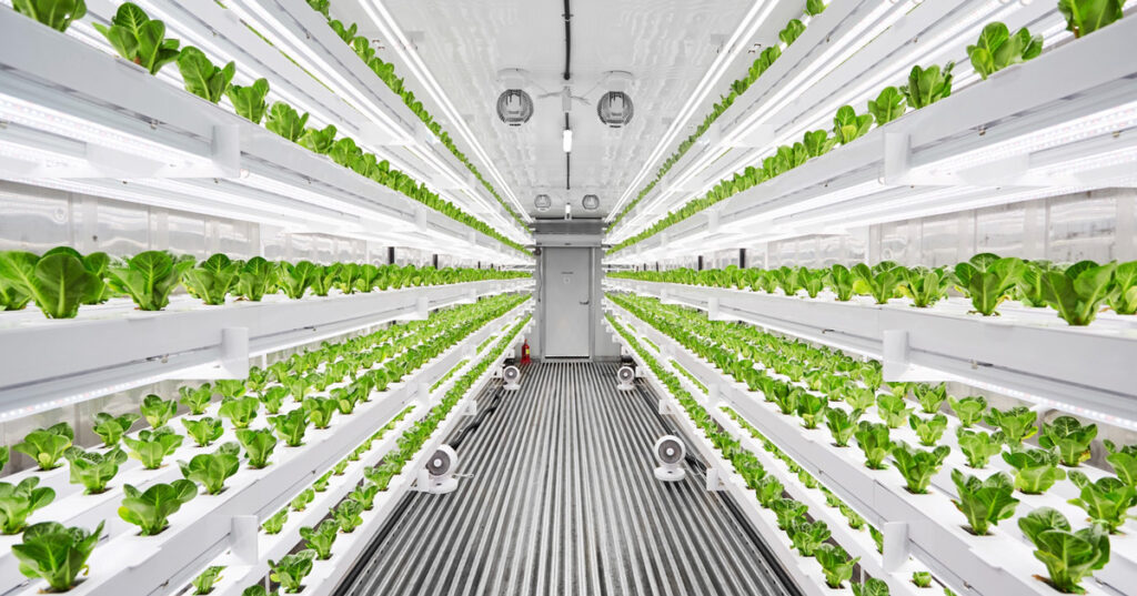 Vertical Farming System & Module Market