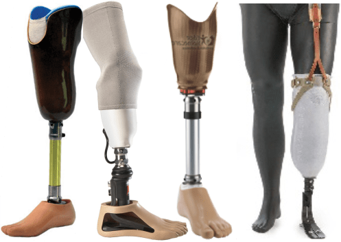 Veterinary Prosthetics and Orthotics Market Analysis: Trends, Growth Prospects, and Market Outlook